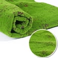 50X50cm Artificial Grass Rug Fake Moss Lawn Garden Landscape Turf Roll ...