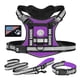 thumbnail image 1 of Doberman Dog Harness Collar Leash Set Walking Pet Vest Harnesses for Medium Large Dogs German Shepherd mascotas Chain Supplies ShopWise Round, 1 of 12