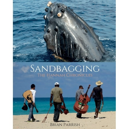 The Hannah Chronicles: Sandbagging: The Hannah Chronicles (Paperback)