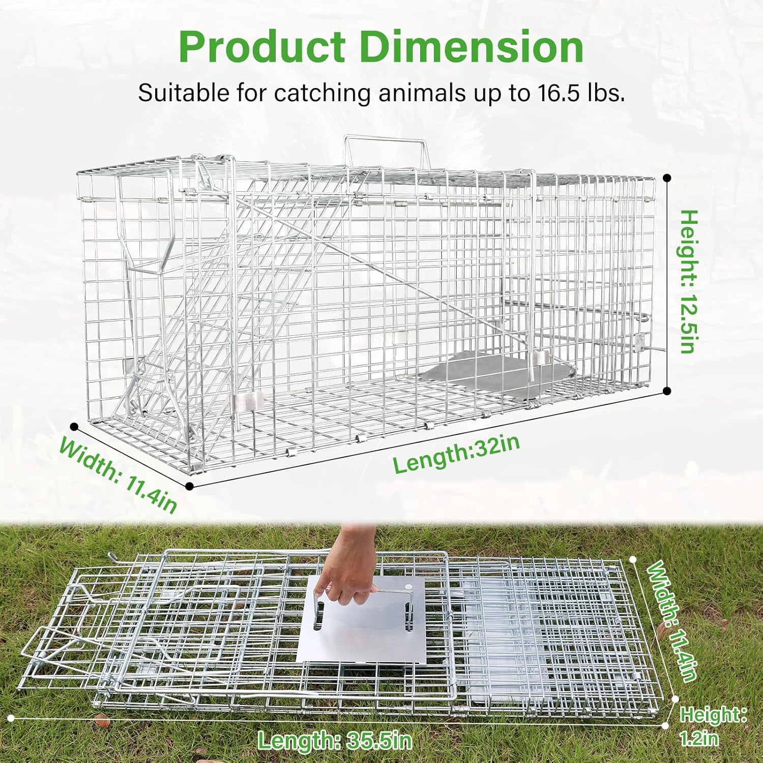 ZephyPaws 32" Live Animal Cage Trap,Humane Cat Trap Galvanized Iron,Heavy Duty Folding Animal Trap with Handle for Rabbits, Stray Cats, Raccoons,Groundhogs and Opossum(31 * 11.4 * 12.5inch)