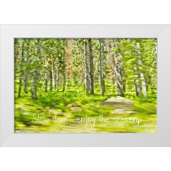 Murdock, Ramona 32x23 White Modern Wood Framed Museum Art Print Titled - Slow Down