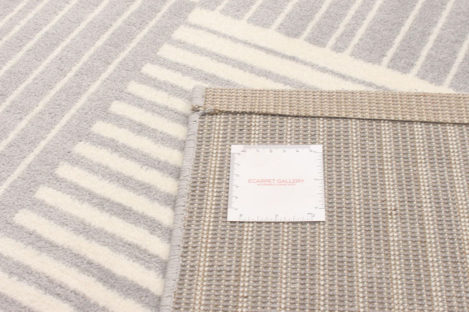 ECARPET Modern Area Rug for Living Room, Dining Room and Bedroom Ambiance Collection