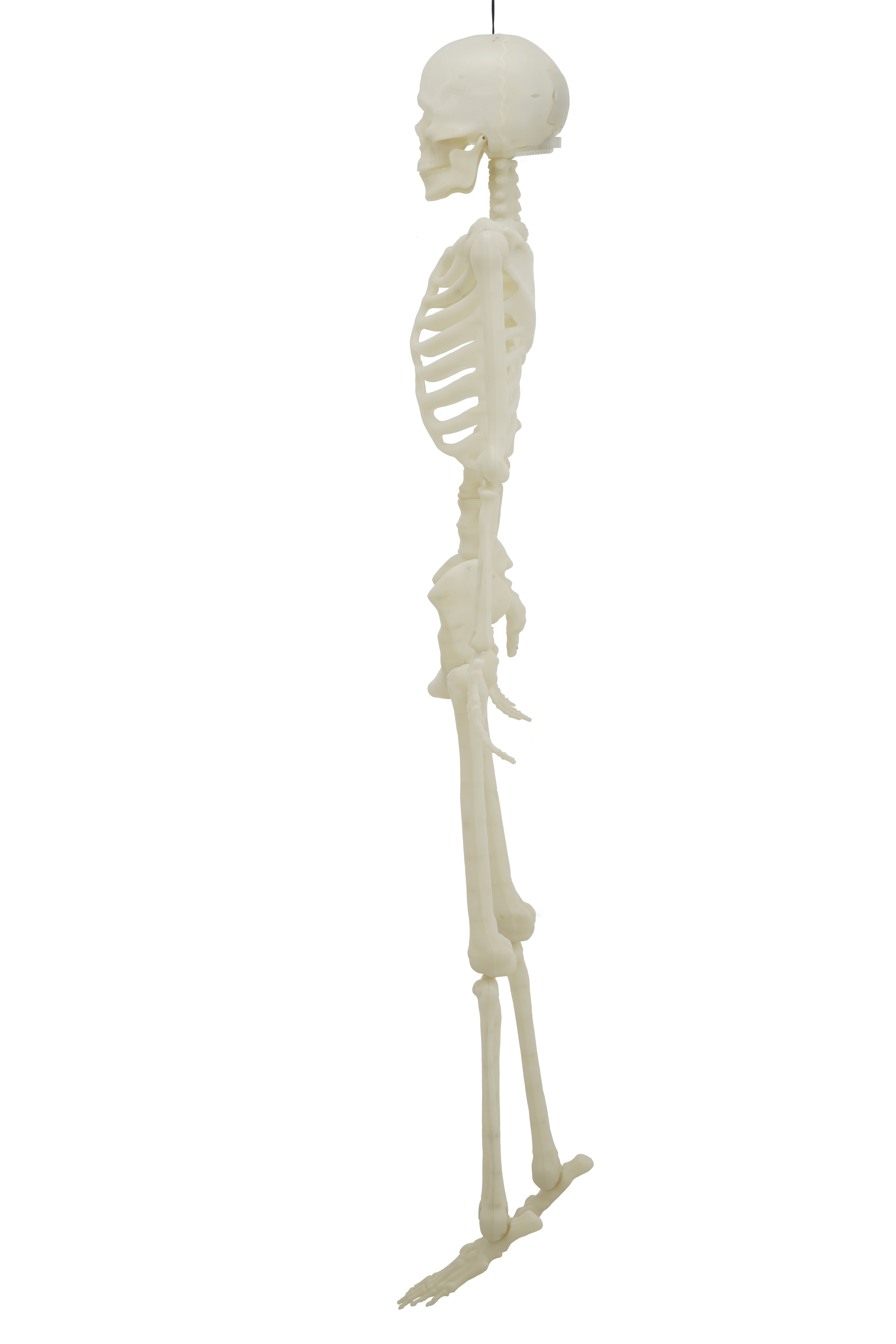 5-Foot Poseable Rainbow LED Illuminated Skeleton, Halloween Hanging Decoration, by Way to Celebrate