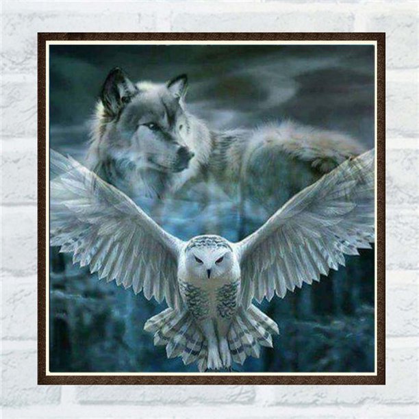 Shiyao 5d Diamond Painting Eagle And Wolf Diy Full Drill Diamond Painting By Number Kits For Home Wall Decor Style 1 Walmart Com Walmart Com