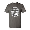 thumbnail image 1 of Tee Hunt This is What an Amazing Dad Looks Like T-Shirt Father`s Day Gift, Charcoal, Small, 1 of 5