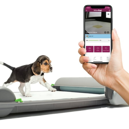 UPC: 0866294000382 | BrilliantPad – The Health Monitoring  Smart Home Connected  Pet Activated  Self-Cleaning Indoor Potty for Puppies and Small Dogs – 3.0 Machine w/ Phone App and 1 Roll