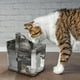 thumbnail image 3 of Mom's Best Dispensador de agua automático para gatos y perros, bebedero, 3 of 5