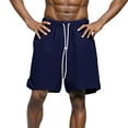 thumbnail image 3 of Bcfgryg Men's Loose Fit Relaxed Five Inch Shorts For Summer Men's Shorts Blue L, 3 of 4