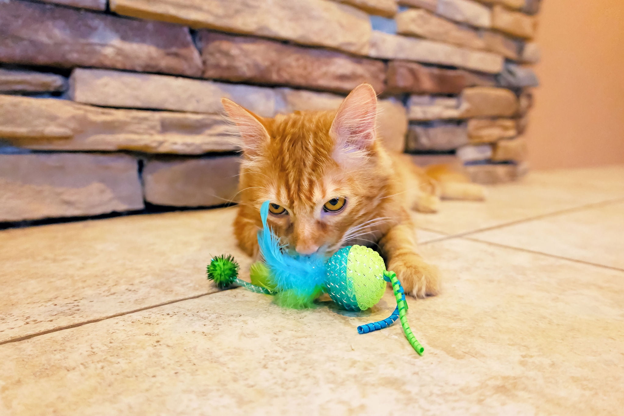 (2 pack) Vibrant Life Mesh Feather Ball Cat Toy, Green/Lime