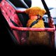 thumbnail image 3 of Perrera Plegable Del Del Del Asiento Del Perro W / Correa de Seguridad - 2 Colco Pet Dog Car Carrier, 3 of 8