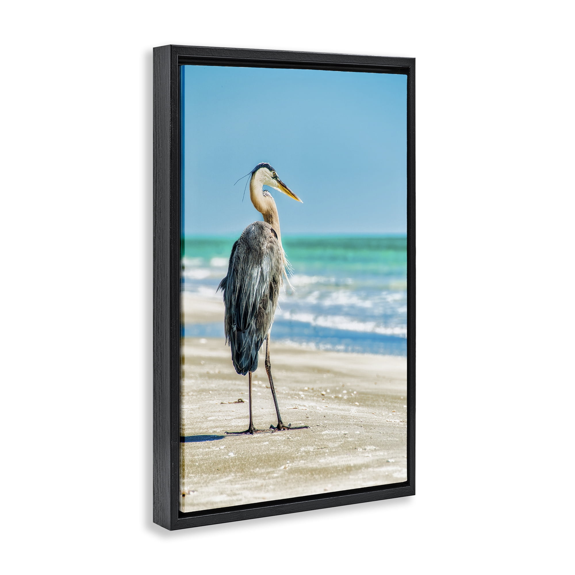 Stupell Industries Reflective Beach Bird Nautical & Beach Photography Black Floater Framed Canvas Art Print Wall Art, 17 x 25