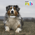 thumbnail image 3 of COLLAR ANTIPULGAS P/RAZAS MEDIANAS (51 CM) Fancy Pets FL3613, 3 of 4