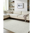 thumbnail image 2 of BoutiqueRugs Clayne Bohemian, Transitional Area Rug - Beige - 9' x 12', 2 of 7