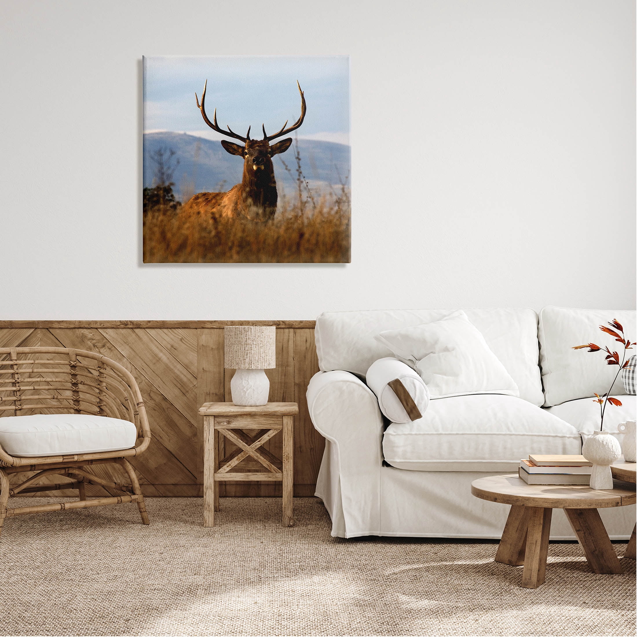 Stupell Industries Buck in Tall Grass Landscape Photograph Gallery Wrapped Canvas Print Wall Art, Design by Danita Delimont