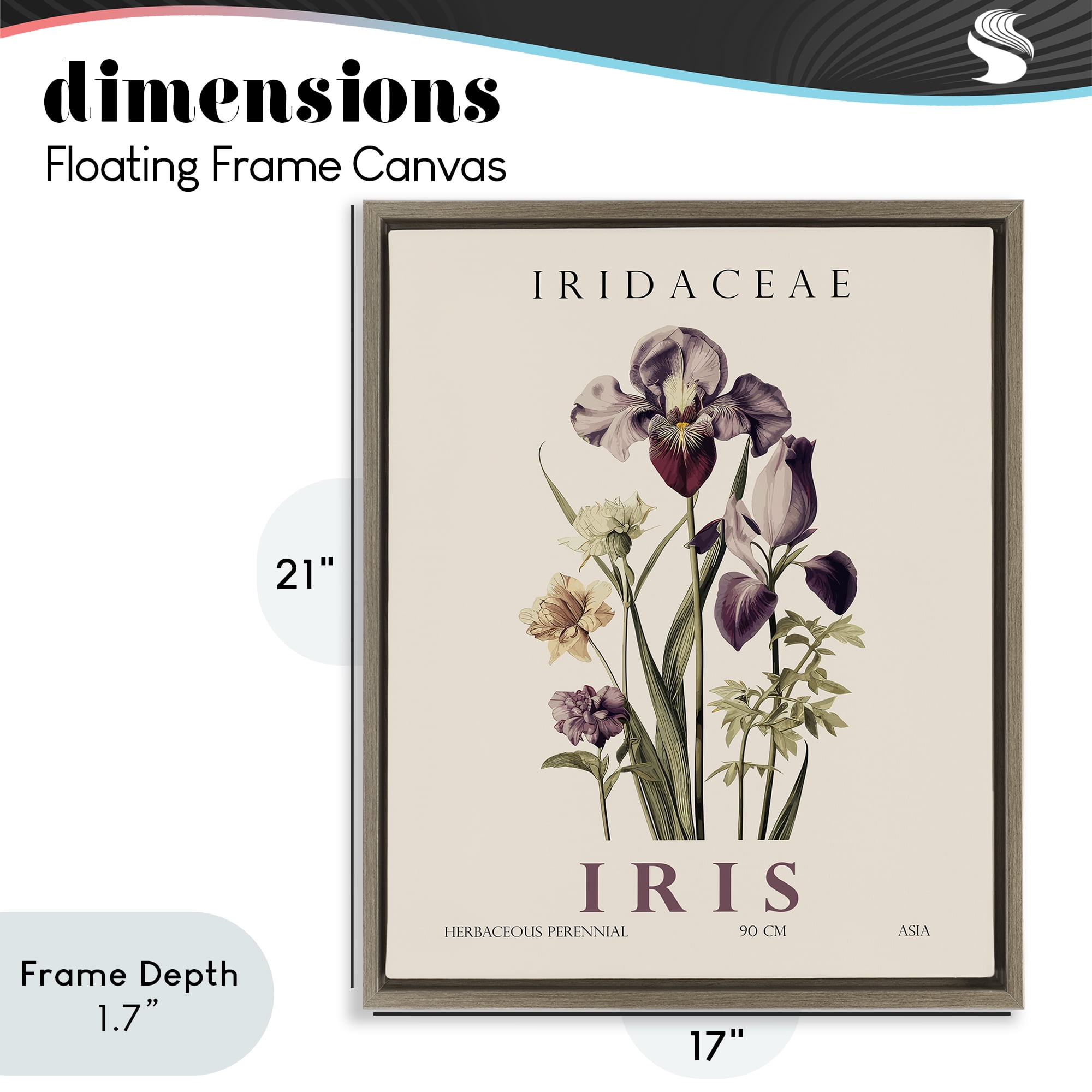 Stupell Industries Natural Iris Bundle Brown Framed Floater Canvas Wall Art, design by Christopher Giampietro