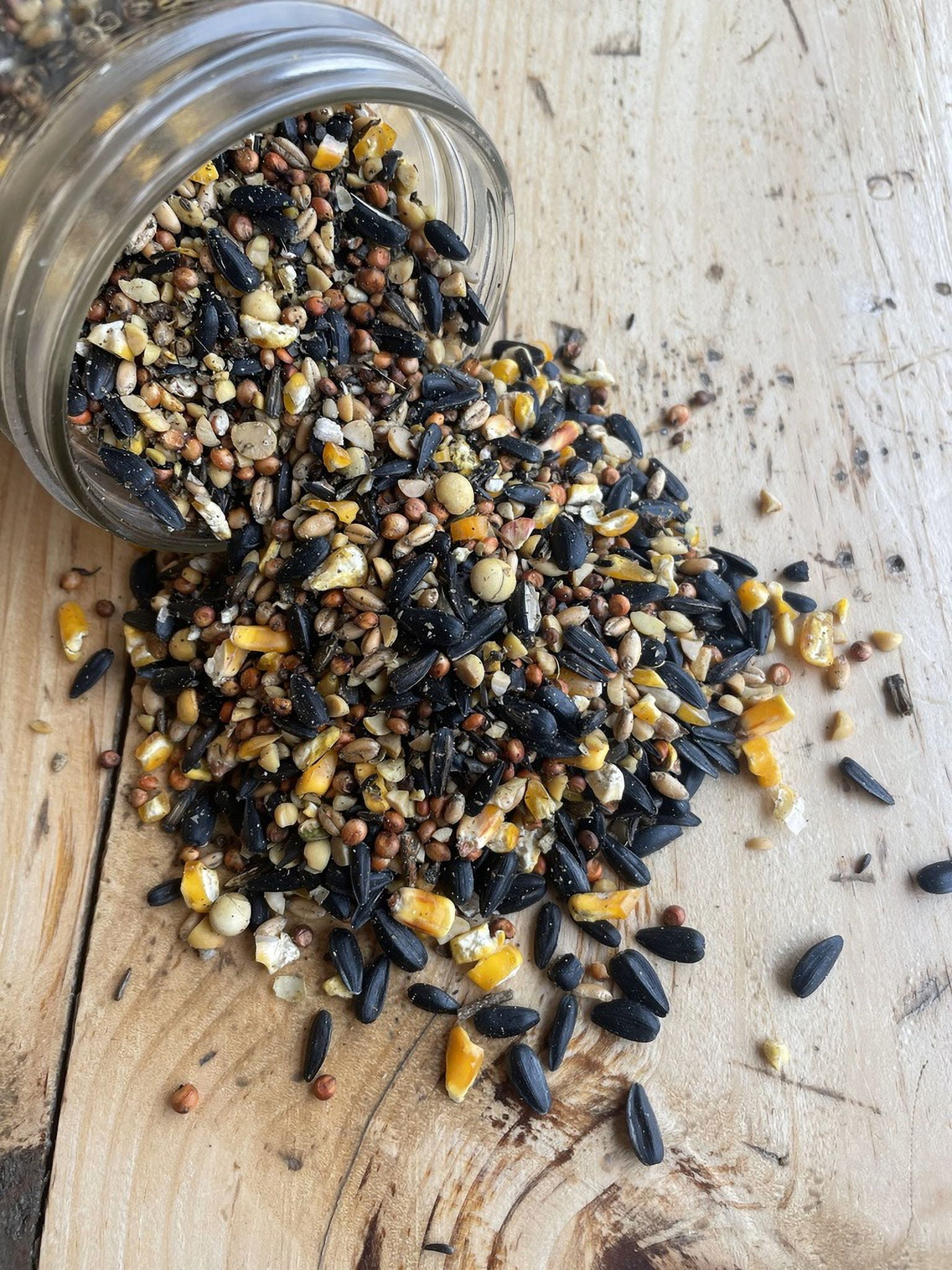 Ernst Grain & Livestock Wild Bird Food Select, Non-GMO – Made with Black Oil Sunflowers, Nyjer Seed, and Other Non-GMO Grains