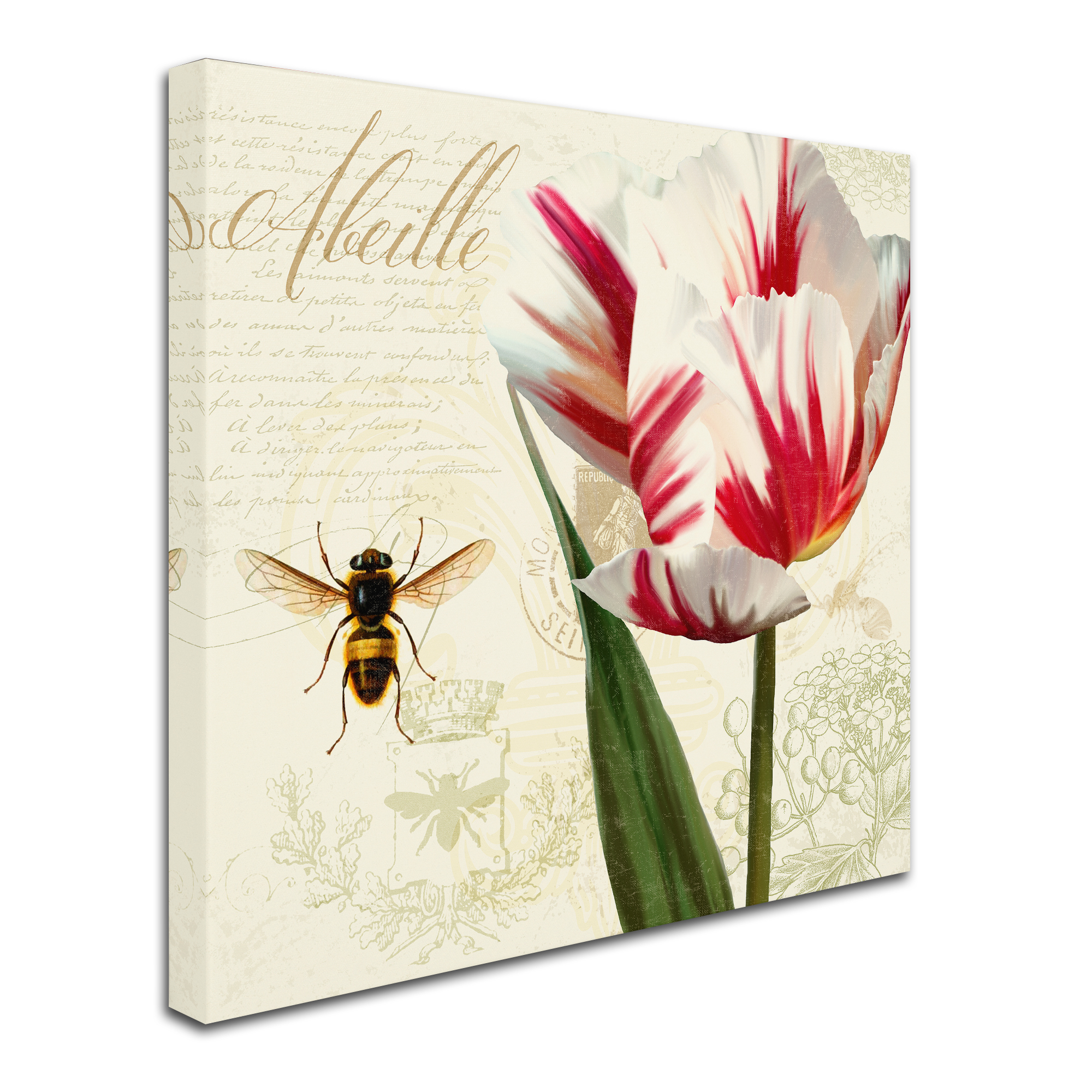 Trademark Fine Art Natural History Sketchbook Ii Canvas Art By