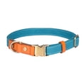thumbnail image 1 of Vibrante en varias opciones de color: collar de perro de nailon de primera calidad con cierre de metal. MFZFUKR CPB-US-YY116-5, 1 of 5