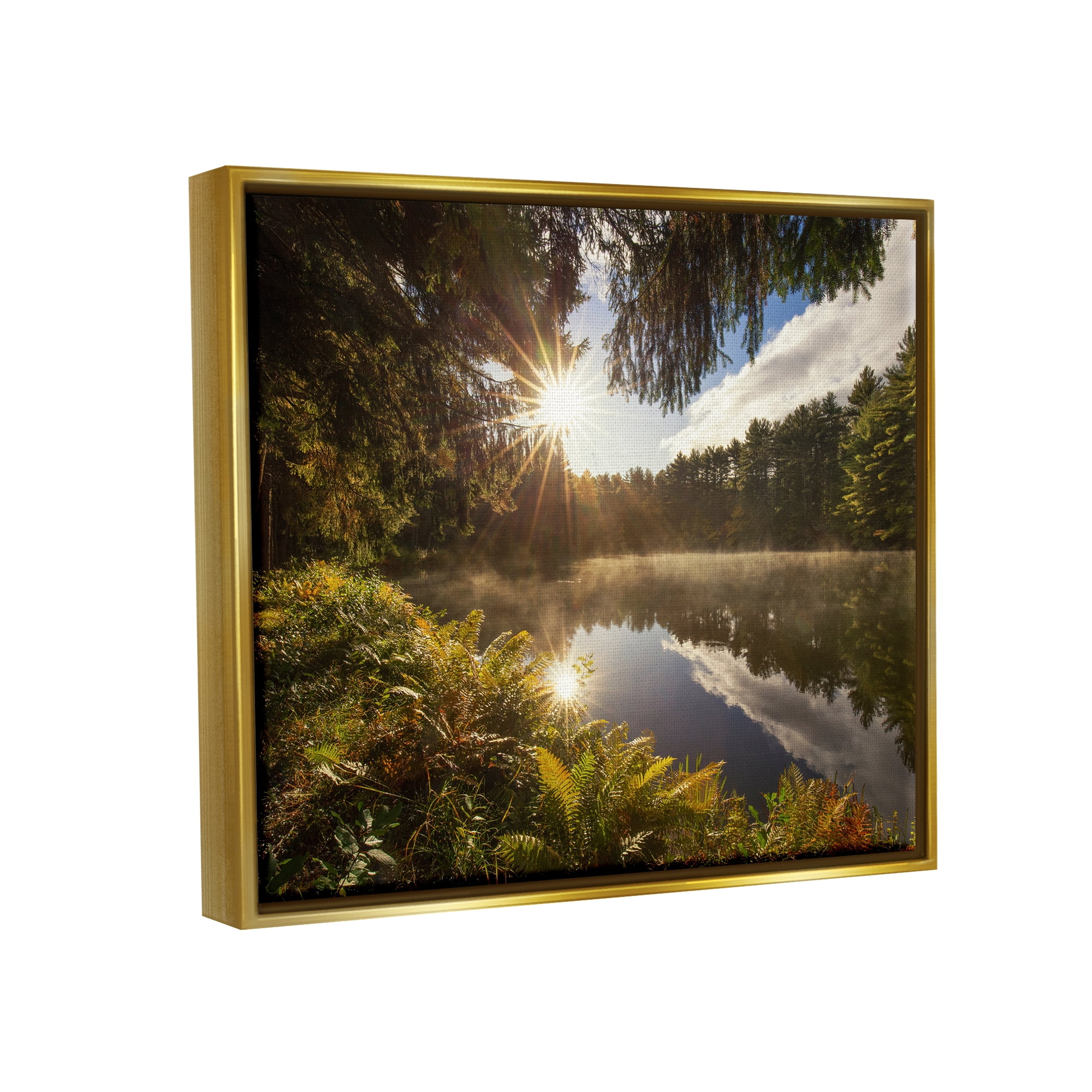 Stupell Industries Lake Nature Landscape Nature Photography Gold Floater Framed Art Print Wall Art, 31 x 25