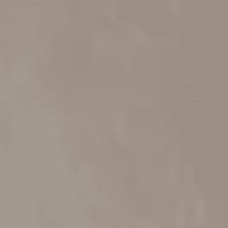 Organic Mocha