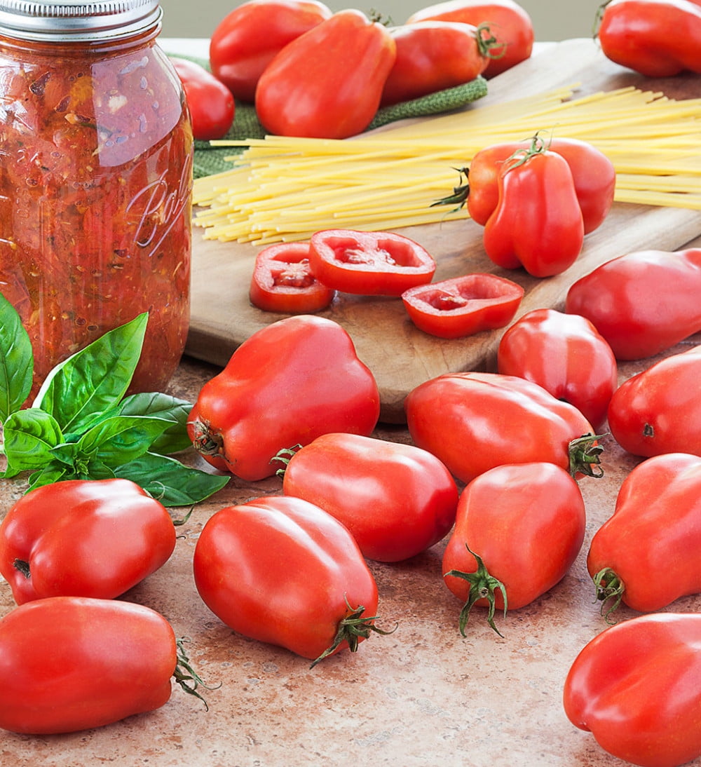 san marzano tomato plants for sale san marzano tomato plants for sale