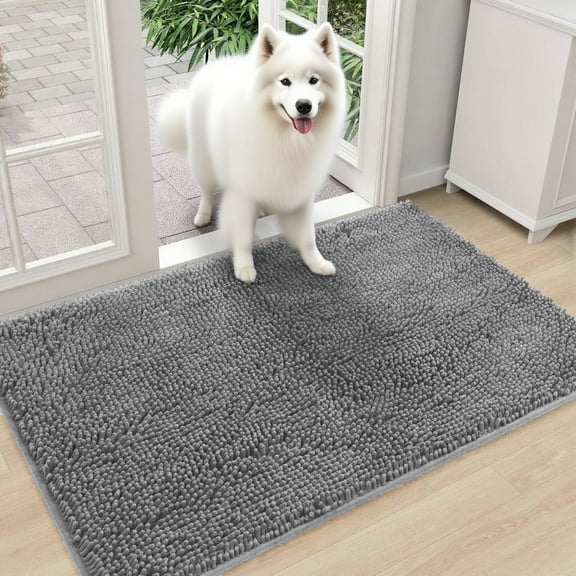 Galactic Goods Dog Door Mats for Muddy Paws, Washable Dirt Trapper Front Door Rugs, Non-Slip Absorbent Chenille Indoor , Area and Bath Mat for Kitchen Bathroom Bedroom(Gray,20"x30")
