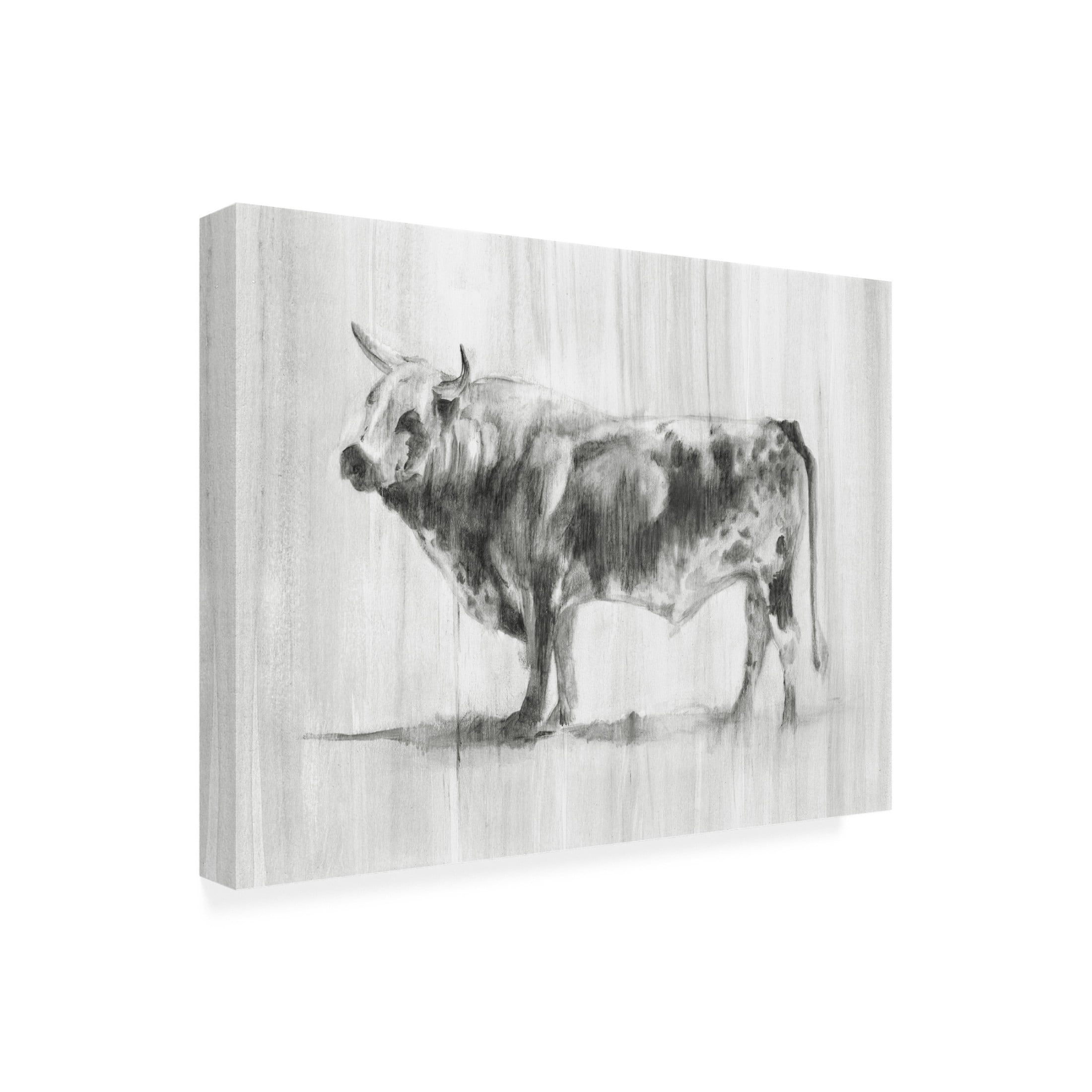 Canvas Wall Art - Ethan Harper 'Rustic Bovine II' Wall Art for Living Room, Bedroom, or Office Décor by Trademark Fine Art - 19 x 14 Inches