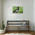 thumbnail image 3 of Wood Duck Drake, Animals Unframed Photographic Print Wall Art by Ken Archer Sold by ArtCom, 3 of 4