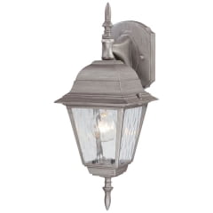 

Westinghouse Westinghouse - 67850 - Antique Silver Incandescent Light Fixture