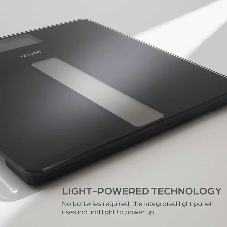 Taylor Light-Powered 11.8