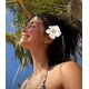 thumbnail image 4 of 3pcs Hawaiian Flower Hair Clips for Women Girls, Plumeria Hibiscus Hair Clip, Artificial Flower Clips for Vacation Beach Party, 4 of 5
