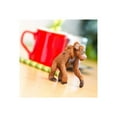 thumbnail image 2 of Safari Ltd. Orangutan with Baby Figurine - Lifelike 2.5" Wildlife Figure - Educational Toy for Boys, Girls, and Kids Ages 3+, 2 of 5