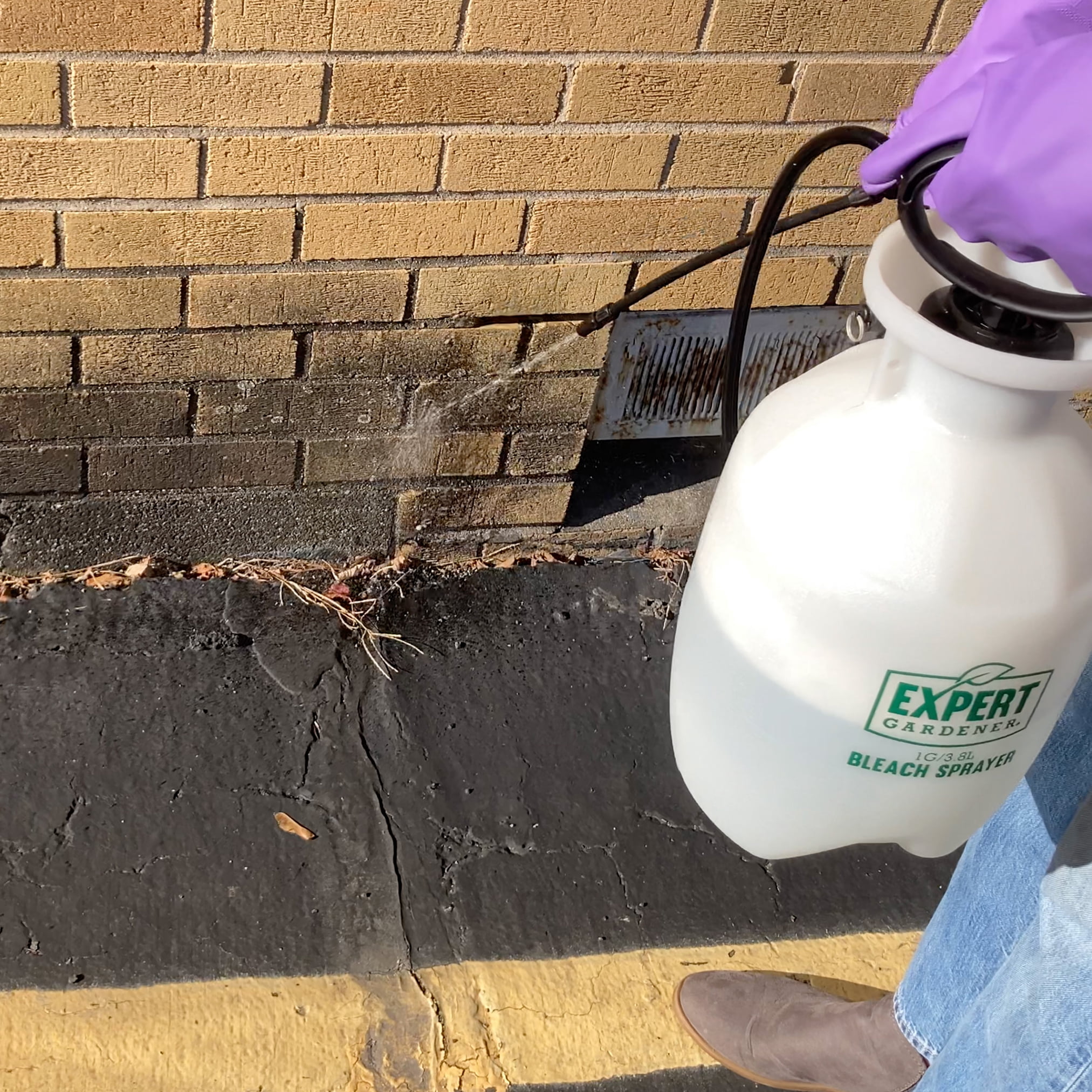 Walmart Expert Gardener 20575: 1 gal Bleach Poly Tank Sprayer for Disinfecting