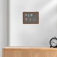 thumbnail image 1 of Phenofice Medal Frame Display Case With Coffee Velvet And Acrylic For Displaying Collectibles 1Pack, 1 of 8