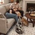 thumbnail image 5 of KUETH 6X9 Machine Washable Area Rug, Low Pile Non-Slip Backing Carpet for Living Room and Bedroom, Pet-Friendly Vintage Floral Medallion Rug, Blue, 5 of 8