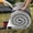 Grey, variant on Memory Foam Camping Mattress Pad - Comfort-Cell Portable Sleeping Mat for Adults, Roll-Up Floor Mattress for Guest/ Tent/ SUV/ Cot, Foldable for Camping & Travel (Multi-Use)