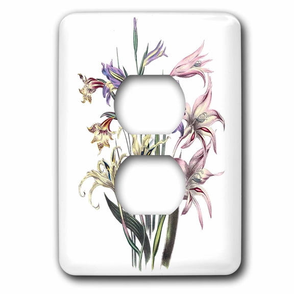 3dRose, Vintage Flowers Gladiolus in Pink White and Lavender, 2 plug outlet cover