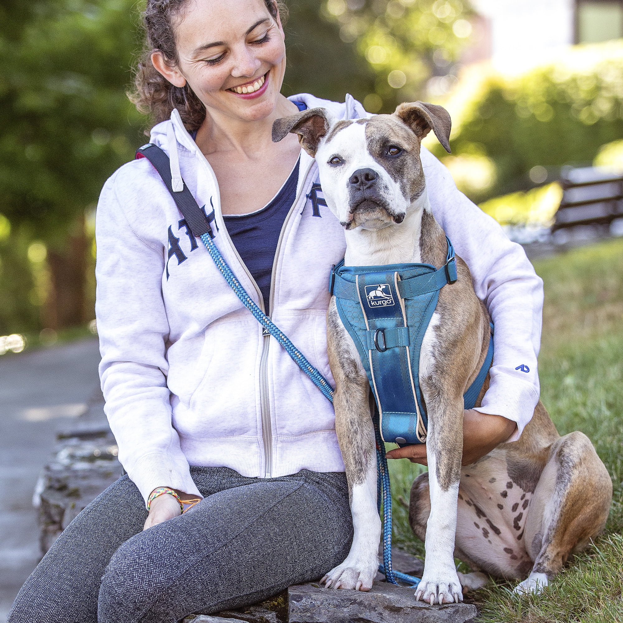 Kurgo Tru-Fit Smart Harness, Dog Harness, Pet Walking Harness, Quick Release Buckles, Front D-Ring for No Pull Training, Includes Dog Seat Belt Tether (Blue, X-Small)