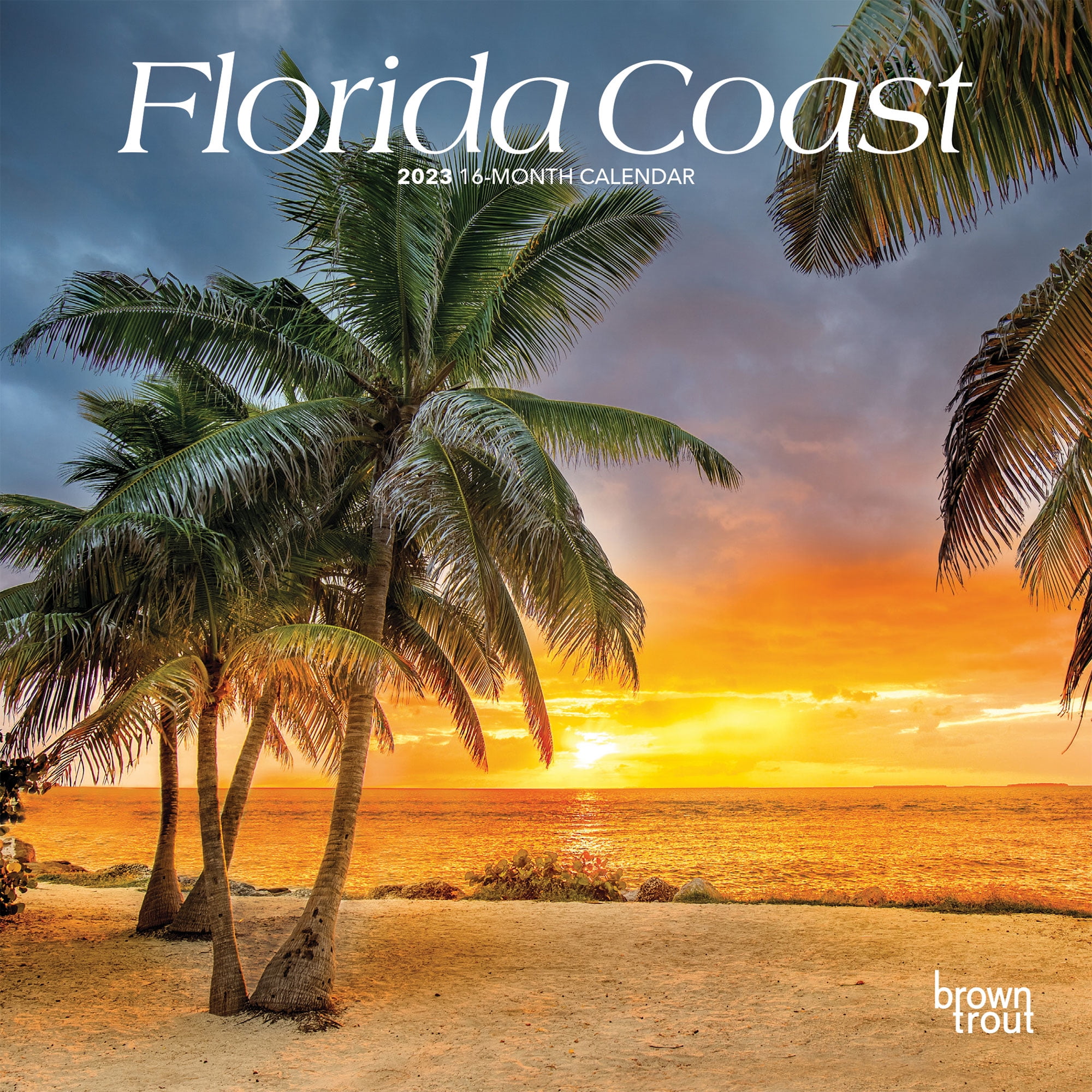 Florida Coast | 2023 7x14' (Hanging) Monthly Mini Wall Calendar | BrownTrout | Default