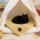 thumbnail image 5 of Toalla de baño superabsorbente para mascotas, de microfibra polar coral, para perros y gatos, suave, de secado rápido, para el cuidado de mascotas, grande, absorbente., 5 of 6