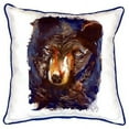 thumbnail image 2 of Betsy Drake ZP281 Betsys Bear Indoor & Outdoor Throw Pillow- 22 x 22 in., 2 of 3