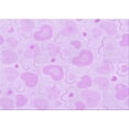 thumbnail image 1 of Ahgly Company Machine Washable Indoor Rectangle Transitional Violet Purple Area Rugs, 2' x 5', 1 of 7