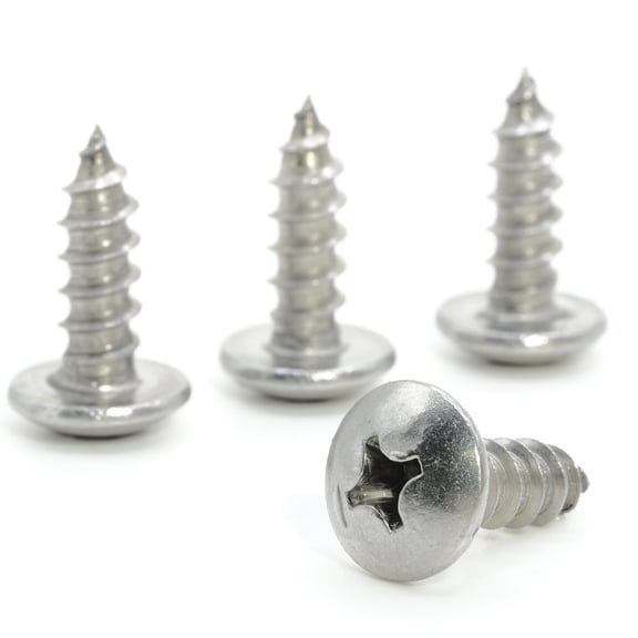 Stainless Screws for Dodge Grand Caravan License Plates (Set of 4, Silver)