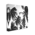thumbnail image 3 of Sunlit Palm Tree Photography Landscape Photograph Gallery Wrapped Canvas Print Wall Art, 3 of 7