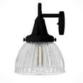 thumbnail image 6 of Hunter - Cypress Grove 4-light Natural Black Iron, Medium Size Vanity Light, Dimmable, Transitional Style, for Bedrooms, Kitchens, Dining, Living Rooms - 19259, 6 of 8