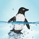 thumbnail image 3 of 2 uds pingüino de silicona Push Bubble Art Decor autismo Reliver juguete sensorial Ndcxsfigh libre de BPA, 3 of 6