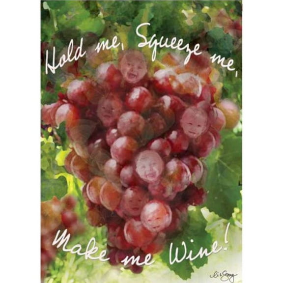 Premier Brilliance House Flag - Make Me Wine