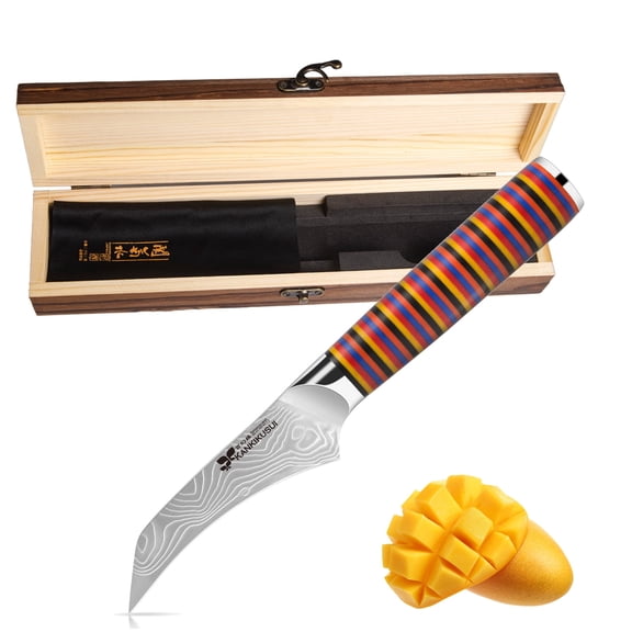 Paring Knives Damascus Forged, 3.9" Fruit Knife, Japanese VG-10 Super Steel 67 Layer Damascus Steel, Fiberglass Cloth and Epoxy Resin Composite Handle