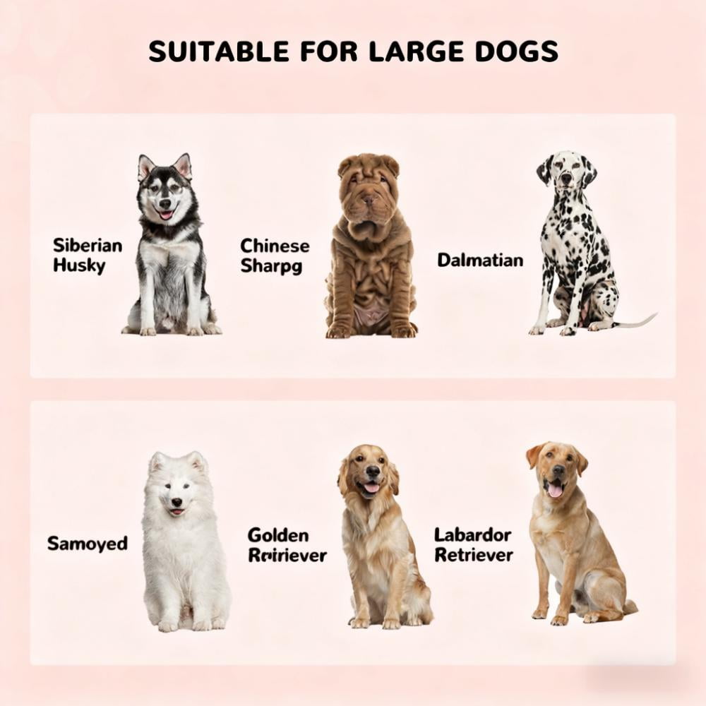 Pet Bowls, Elevated Dog Bowls with Storage Cabinet Containing Large Capacity