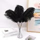 thumbnail image 5 of Kit para hacer plumas Ballinger Black Avestruz, 10 unidades, 70 cm, 5 of 7